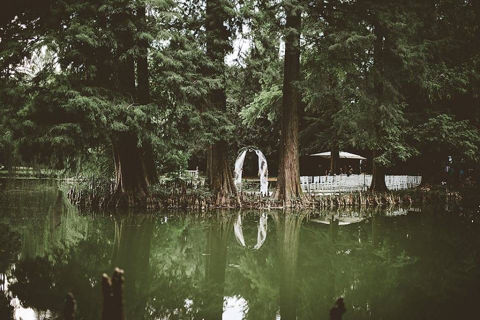 Un arco in mezzo al bosco