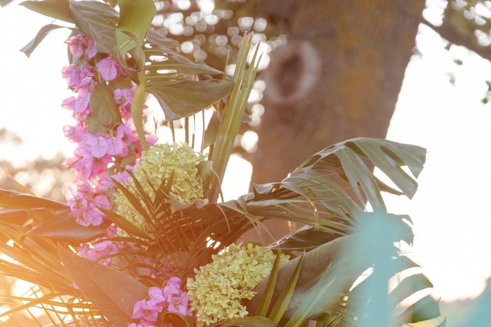 Tropicale