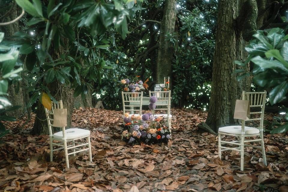 Nelle Magnolie
