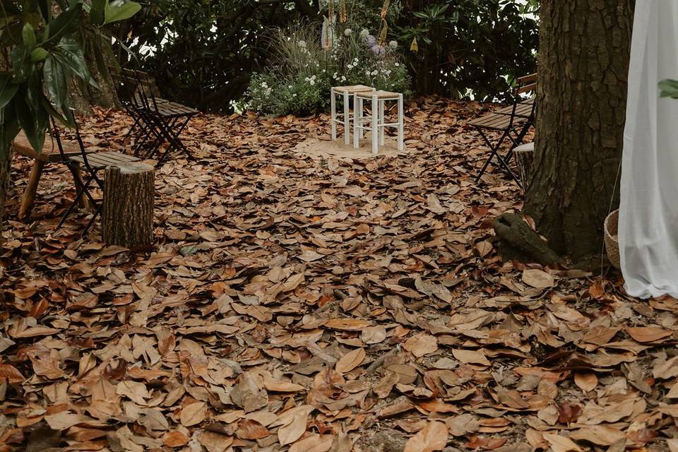 Cerimonia alle magnolie