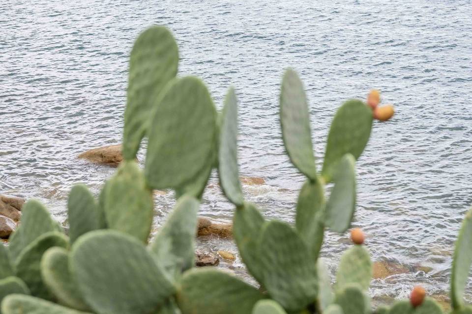 Il mare