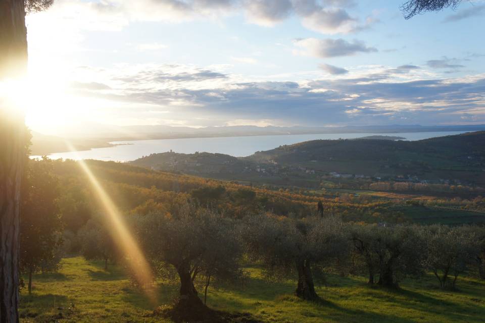 Oliveto intorno al Cantico