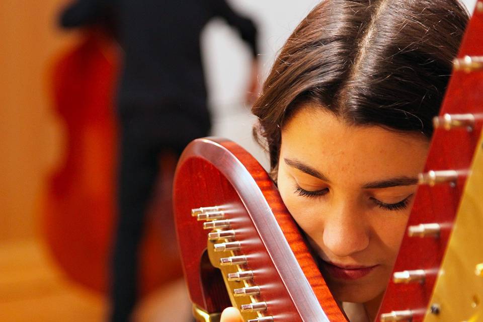 Accordatura pre-concerto