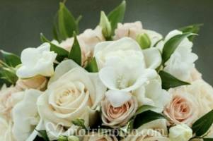 Gianflor