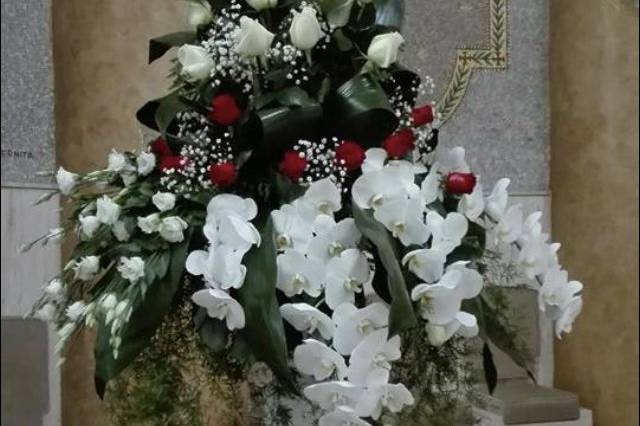 Gianflor