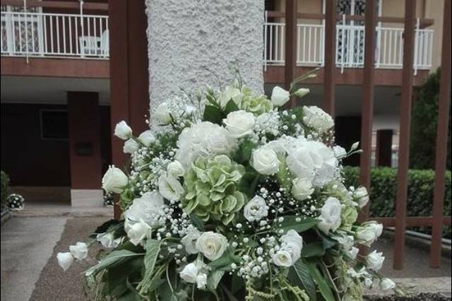 Gianflor