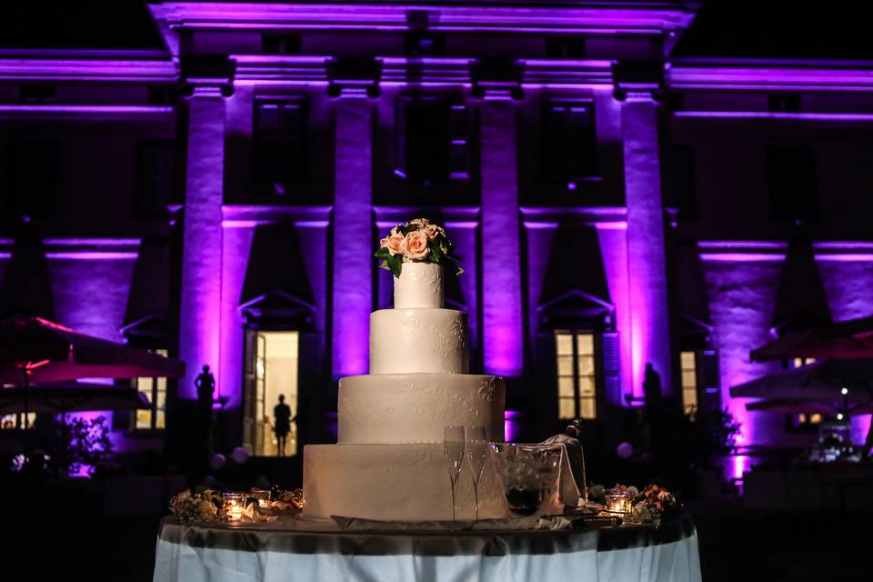 Wedding cake e light designer