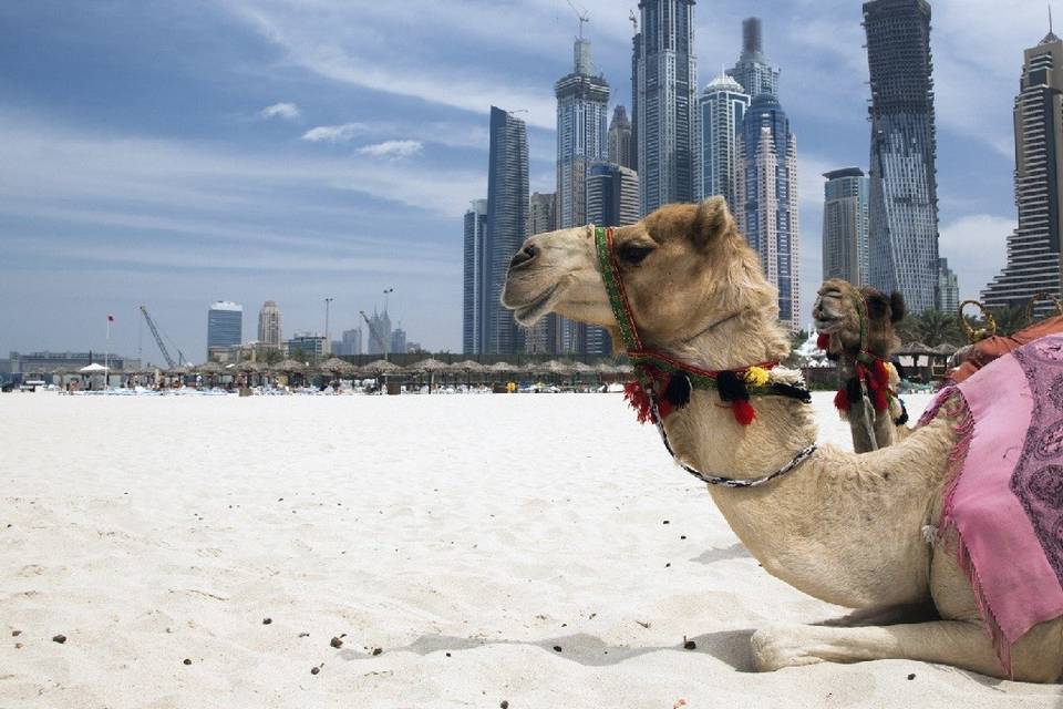 Viaggio di Nozze a Dubai