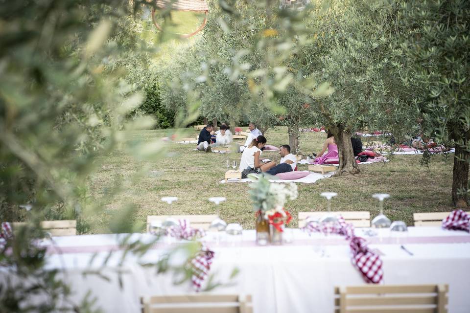 Picnic e tavolata