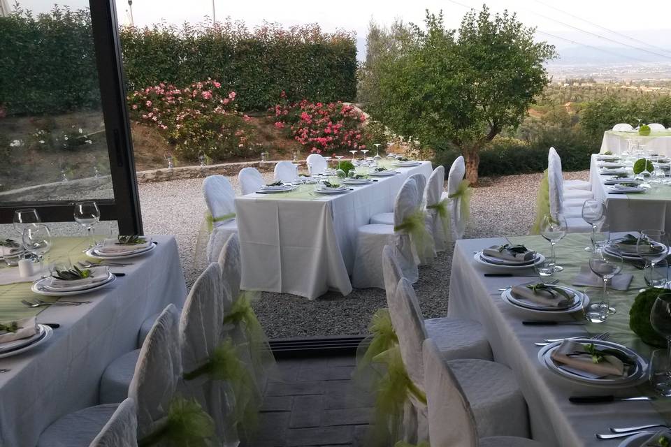 White and green
