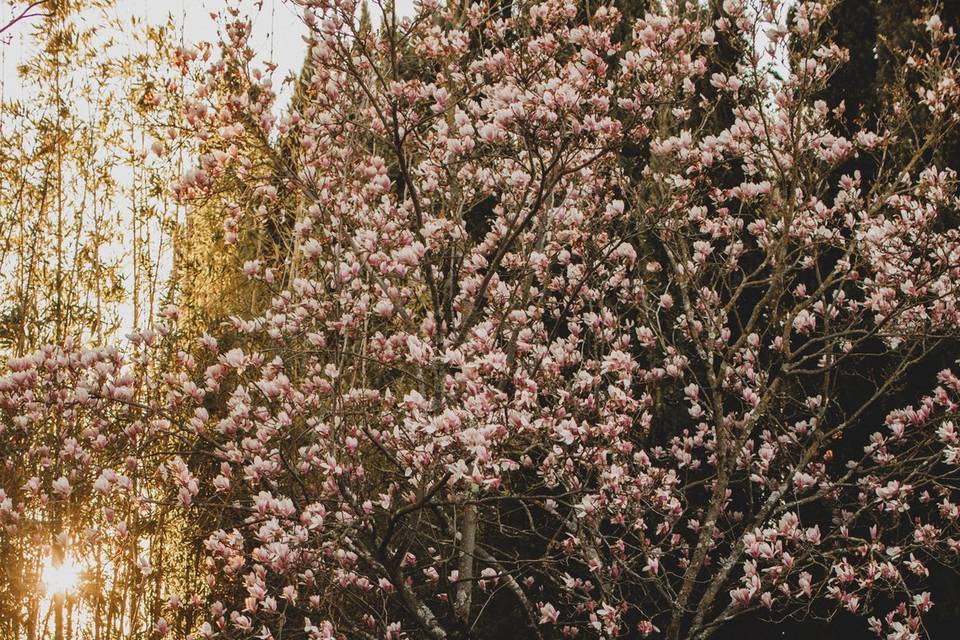 La Canonica dei Fiori