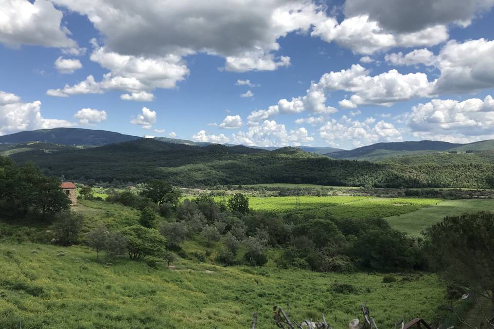 Vista dal ristorante