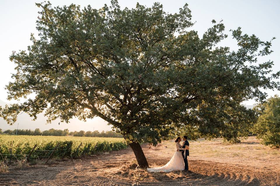 Matrimonio a Tenute Ferrocinto