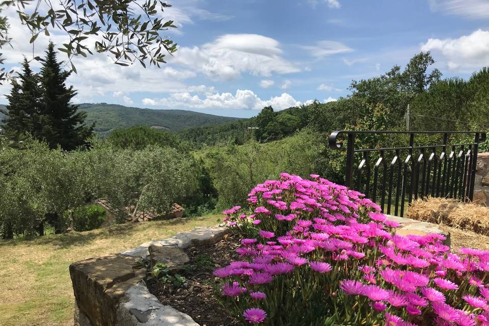 Vista dalla terrazza