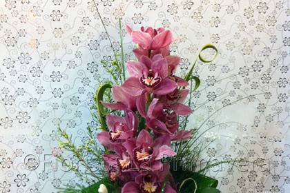 Ramo orchidea