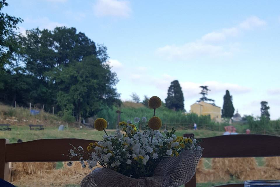 Fiori di campo..