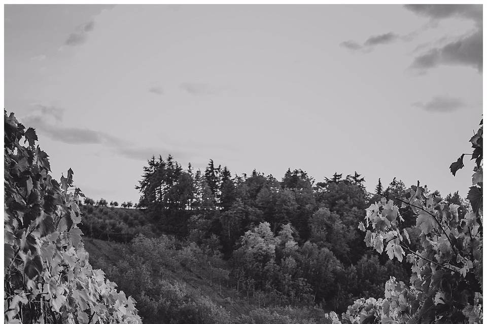 Fotografo di matrimonio Roma