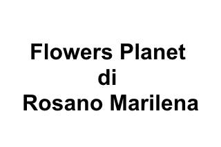 Flowers Planet di Rosano Marilena logo