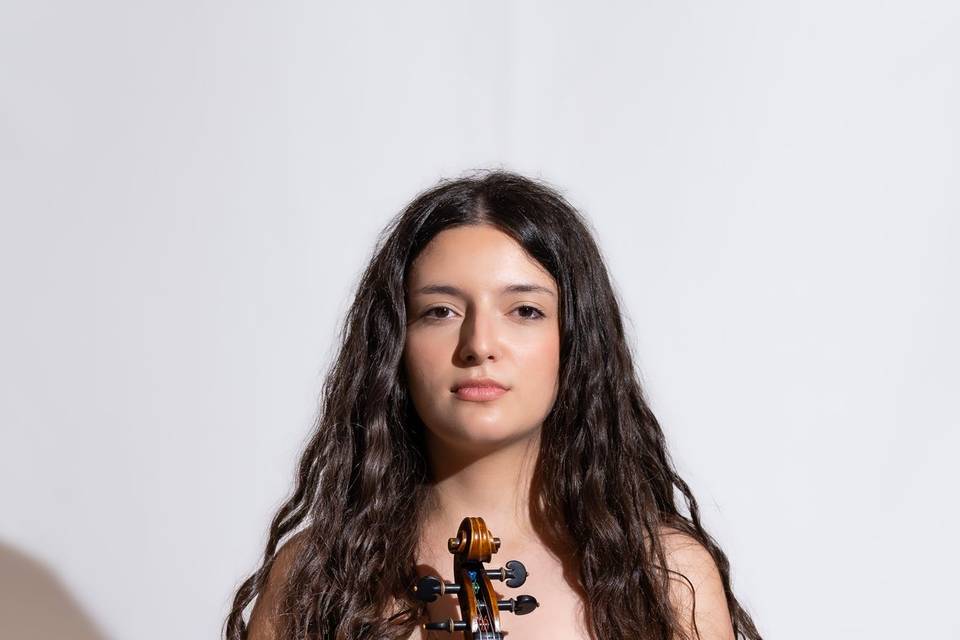 Violino