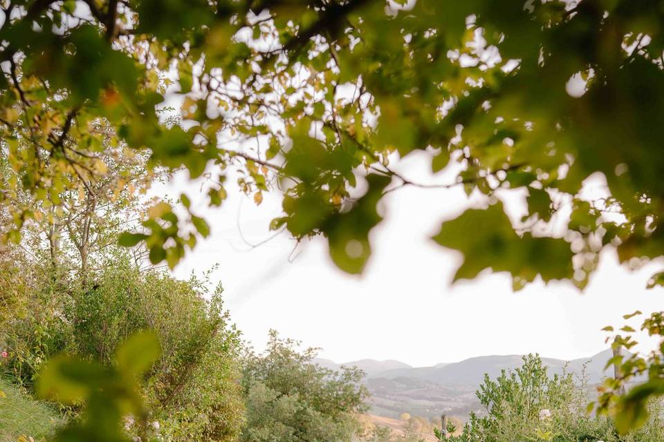 Atlante Wedding Studio