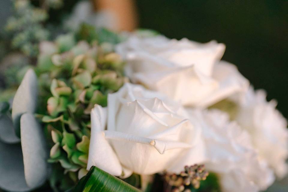 Atlante Wedding Studio