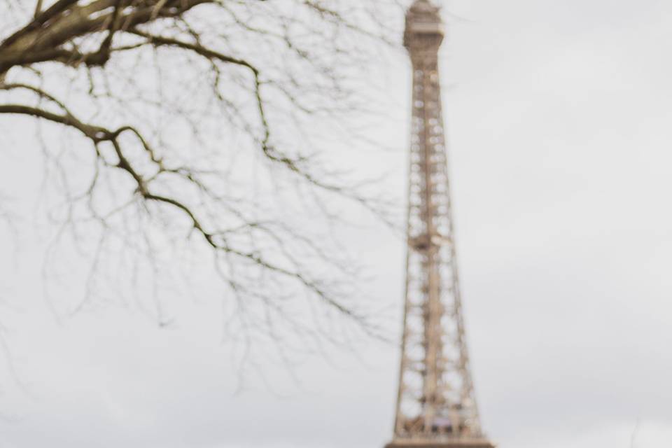 Pre matrimonio a Parigi