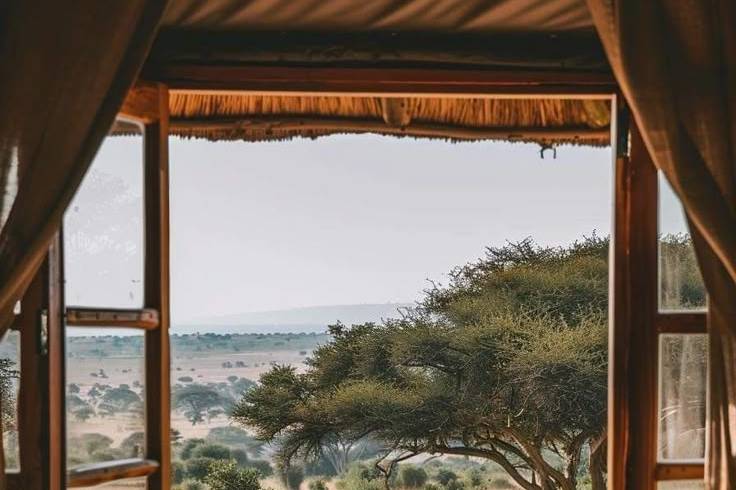 Safari Sudafrica