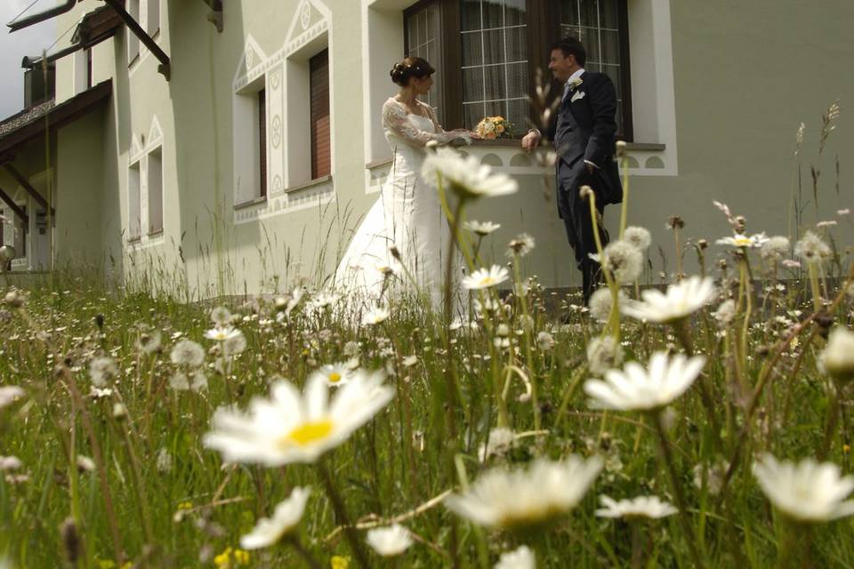 Prato fiorito in Alto Adige