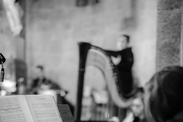 Organo e arpa cerimonia