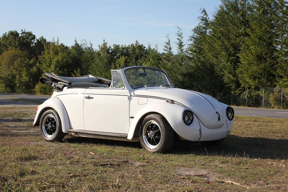 Maggiolino Cabrio