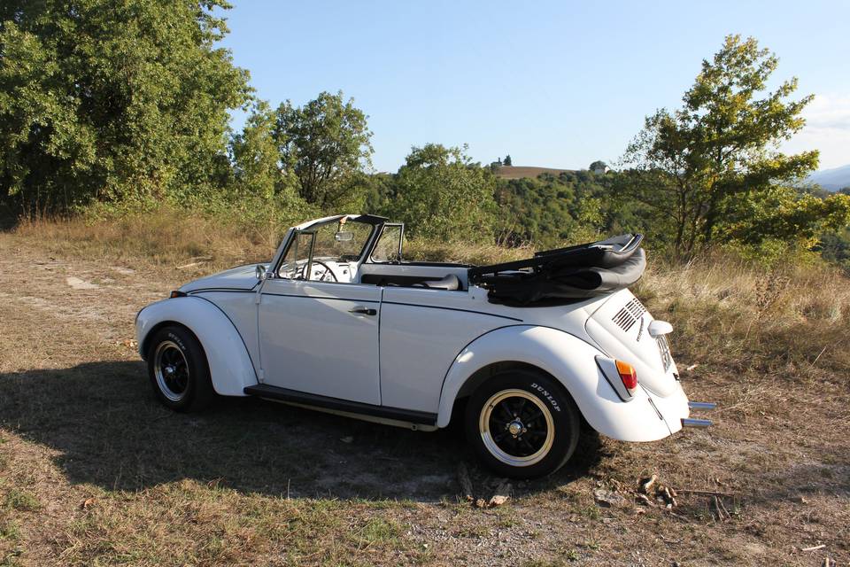 Maggiolino Cabrio
