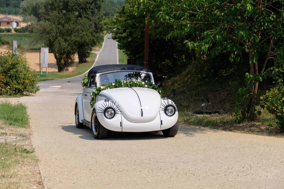 Maggiolino Cabrio
