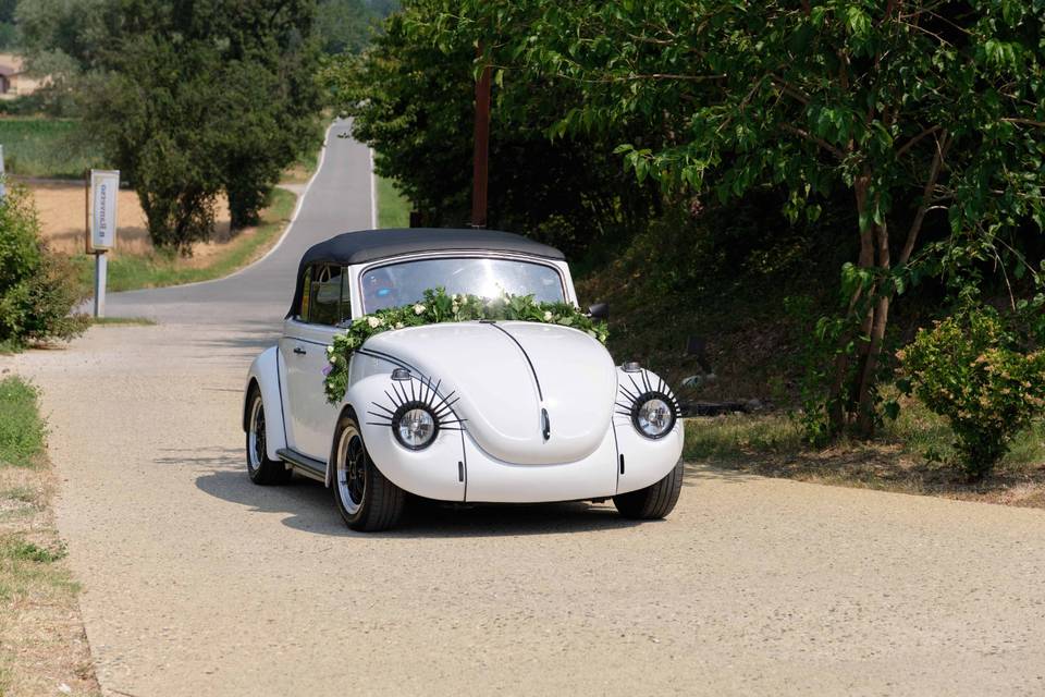 Maggiolino Cabrio
