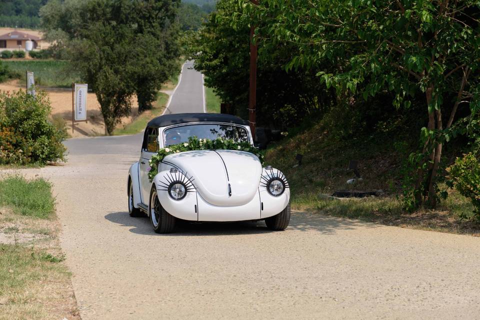 Maggiolino Cabrio