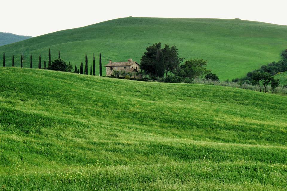 La Tana del Bianconiglio