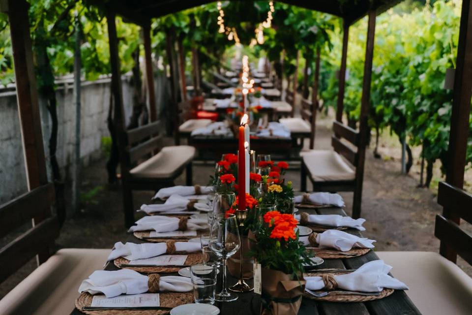 Cena in vigna