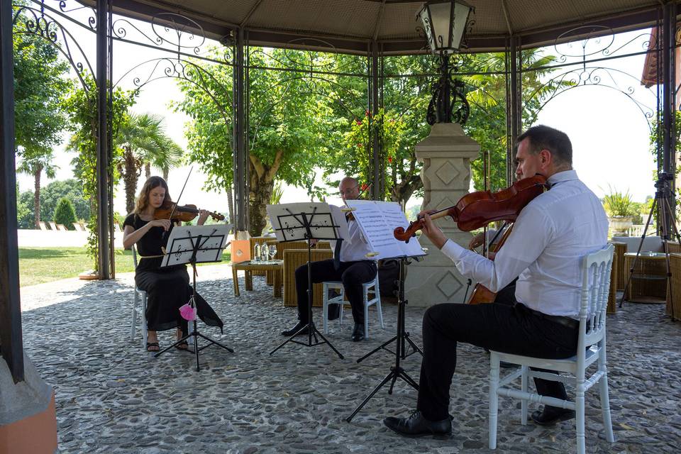 Phileo String Quartet