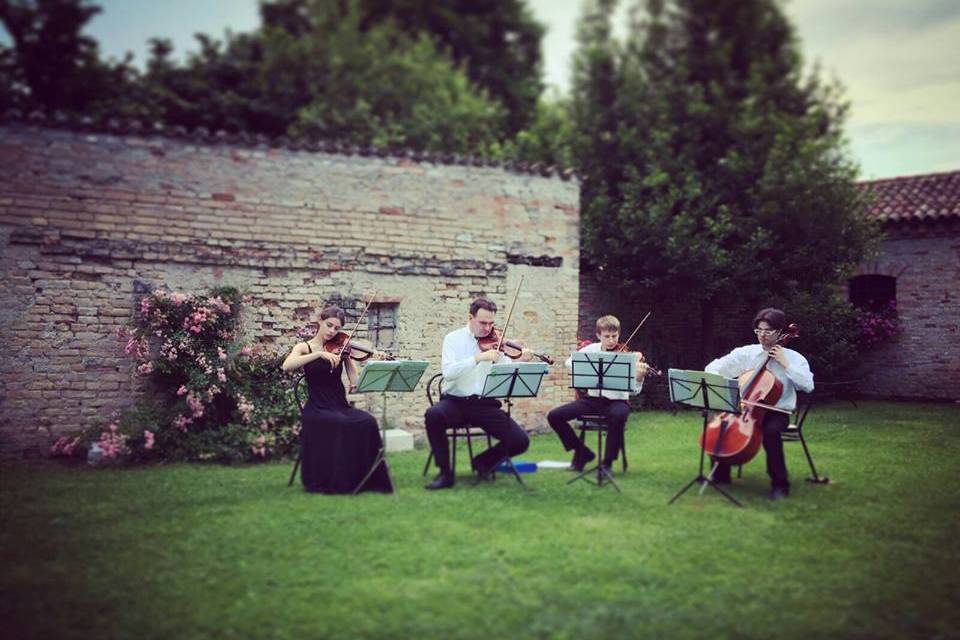 Phileo String Quartet