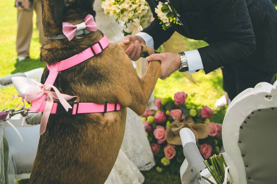 Valentina e Alessandro