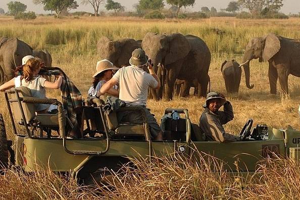 Safari in Sud Africa