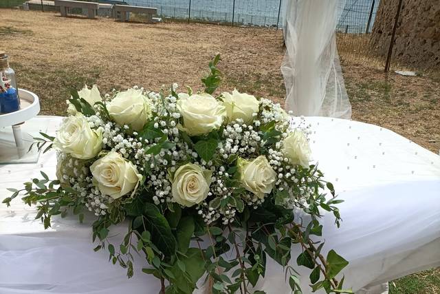 Rose bianche