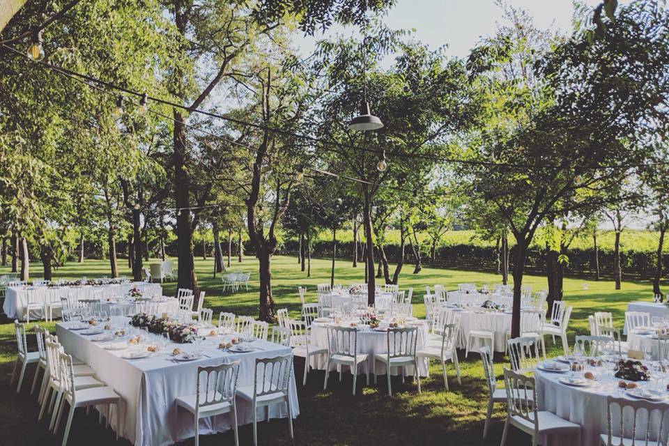 Cena nel vigneto