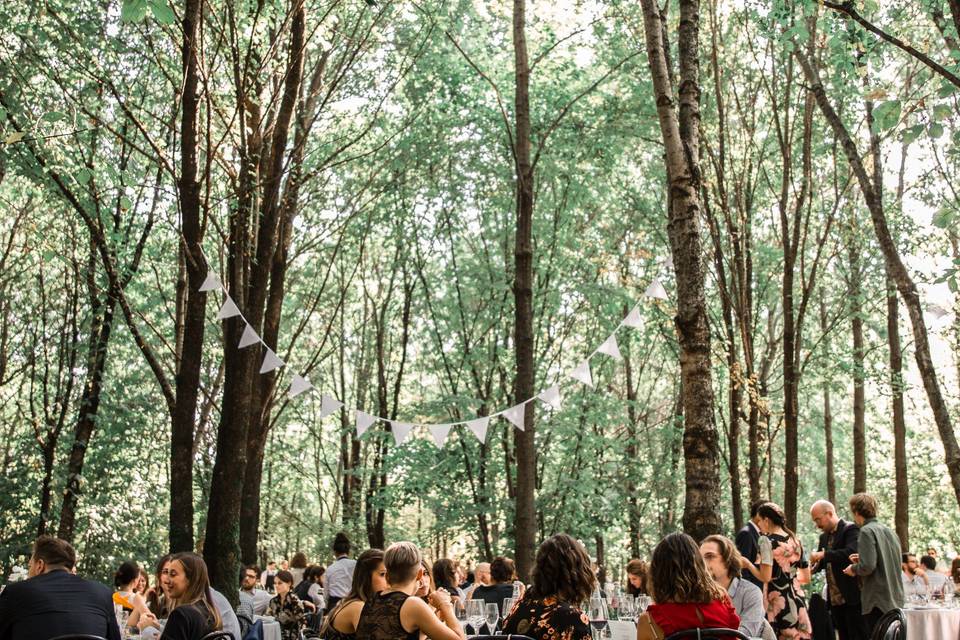 Pranzo nel bosco