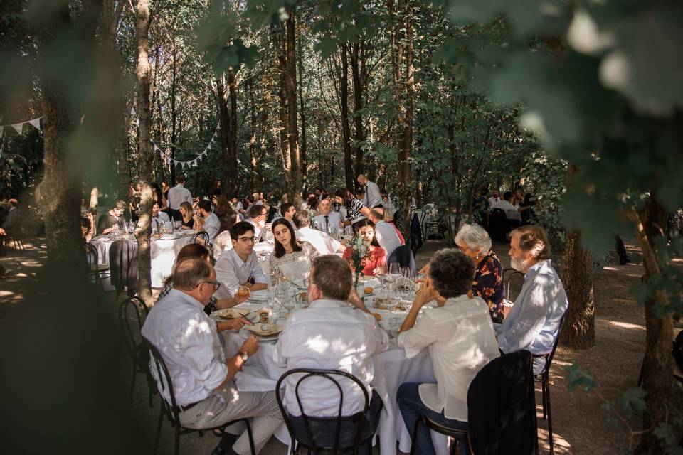 Pranzo nel bosco