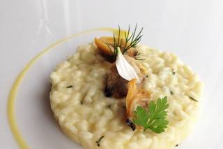 Gastronomia MG