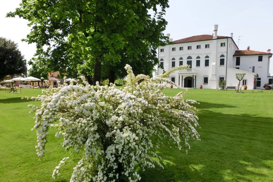 Villa dei Dogi