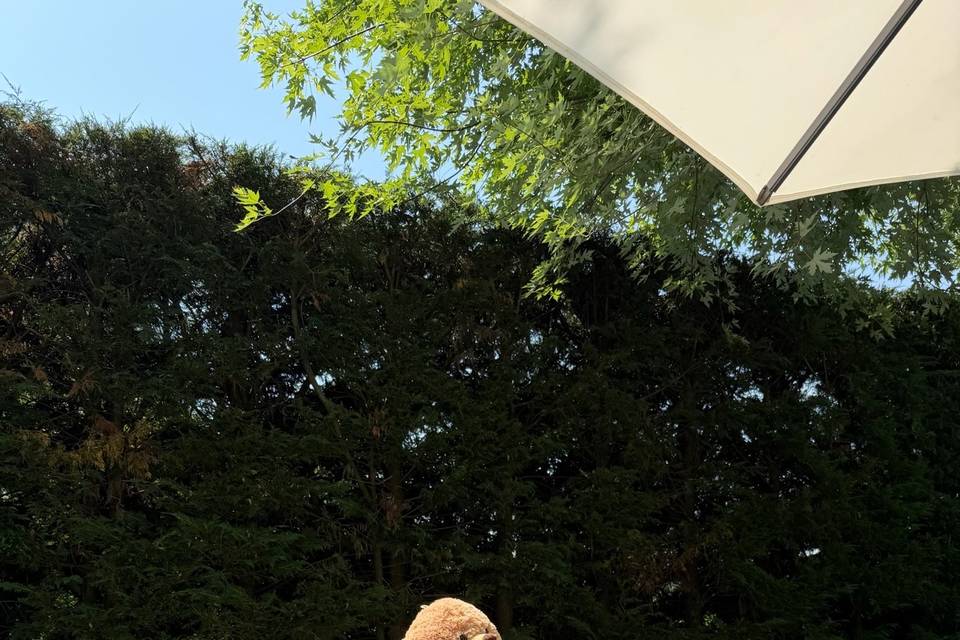 Confettata per battesimo