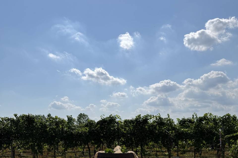 Rito tra i vigneti