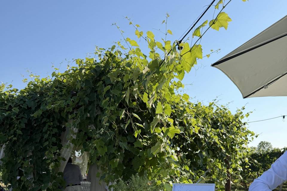Angolo del pane