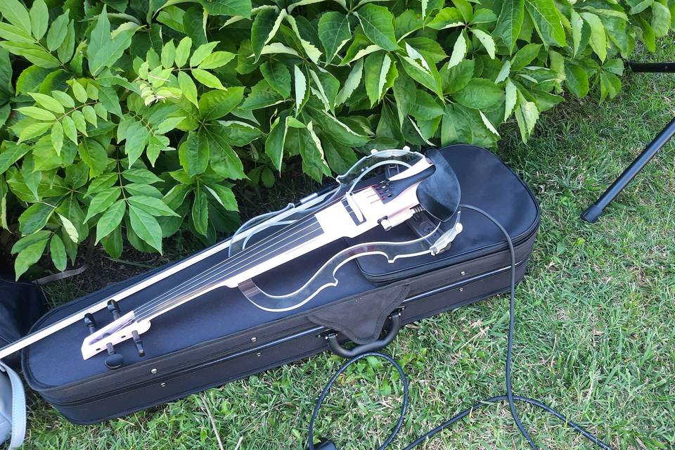 Violino elettrico